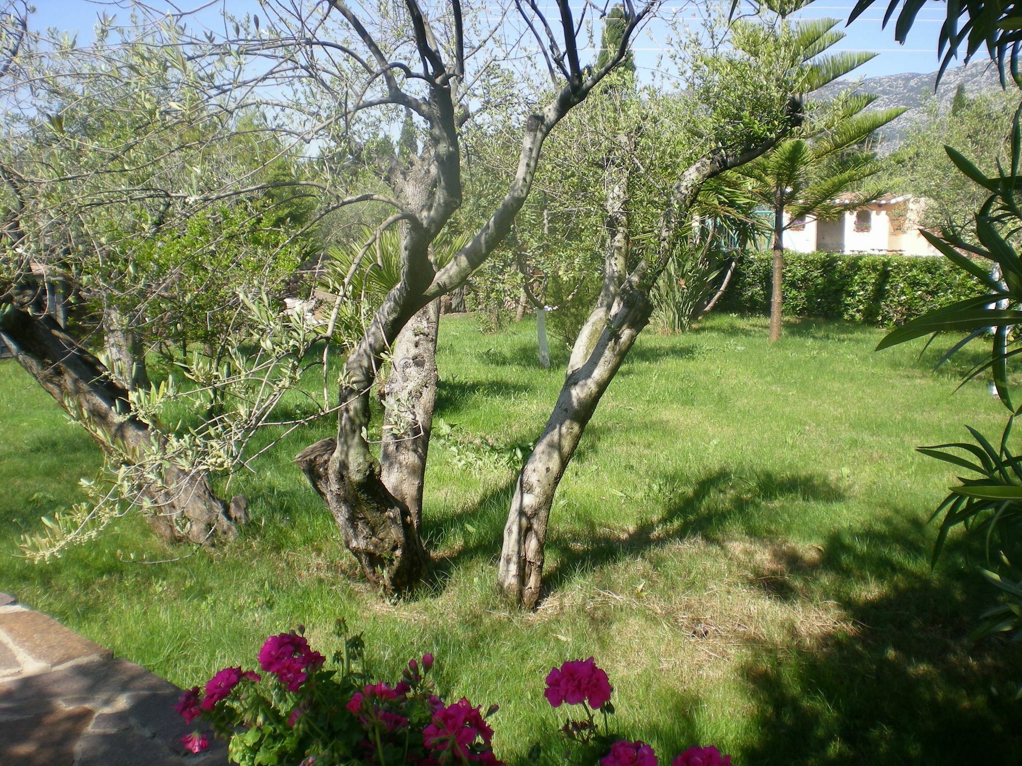 Apartamento Residenza Marina Orosei Exterior foto